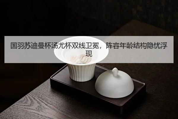 guo-yu-su-di-man-bei-tang-you-bei-shuang-xian-wei-mian-zhen-rong-nian-ling-jie-gou-yin-you-fu-xian-3-776.jpg