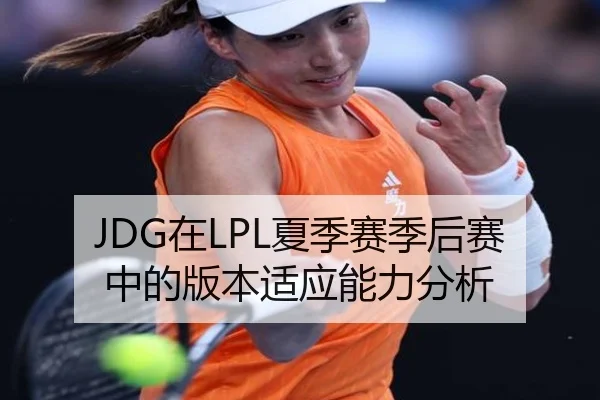 JDG在LPL夏季赛季后赛中的版本适应能力分析