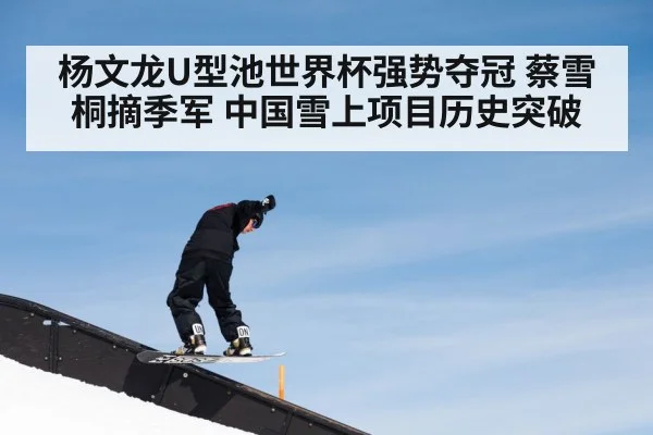 杨文龙U型池世界杯强势夺冠 蔡雪桐摘季军 中国雪上项目历史突破
