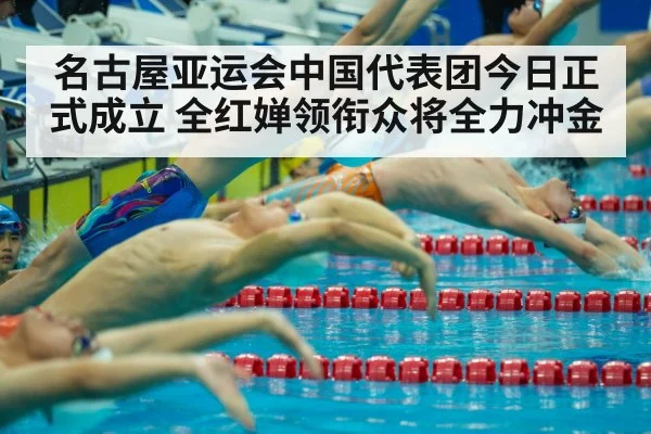 名古屋亚运会中国代表团今日正式成立 全红婵领衔众将全力冲金